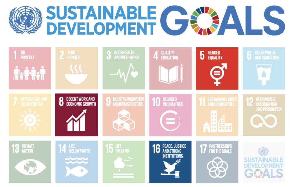 sustainable development goals sdgs ctg