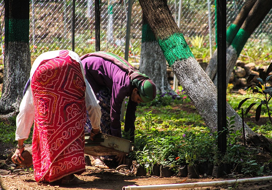 migrant women working 