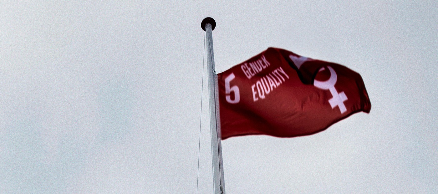 SDG 5 flag